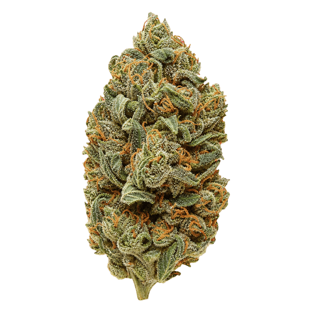 Kush Collective GDP 27/1 Granddaddy Punch Online Kaufen