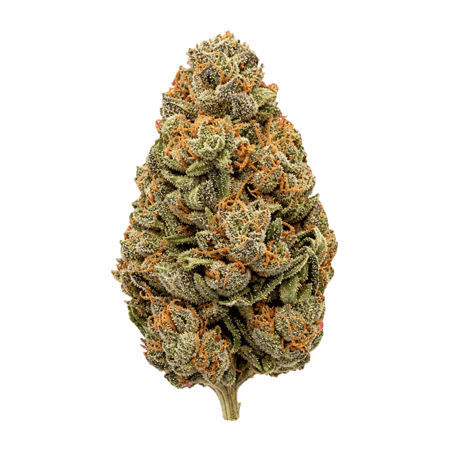 Kush Collective LDS 30/1 Lilac Diesel Online Kaufen