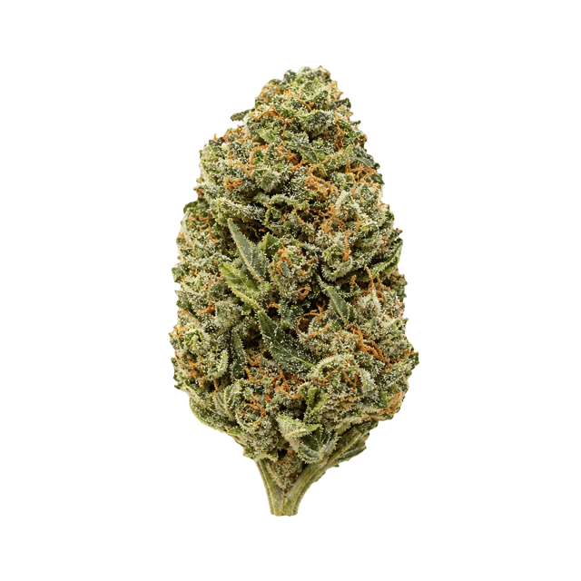 Medical Saints 18/1 HUB Huckleberry Online Kaufen