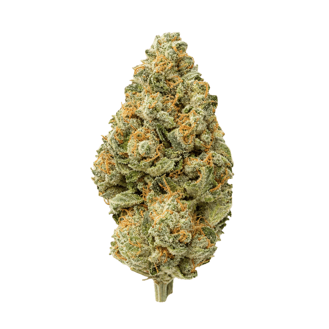 Medical Saints 27/1 LEM Lemonatti Online Kaufen