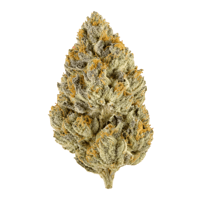 Materia FFC 25/1 Frosted Fruit Cake Online Kaufen