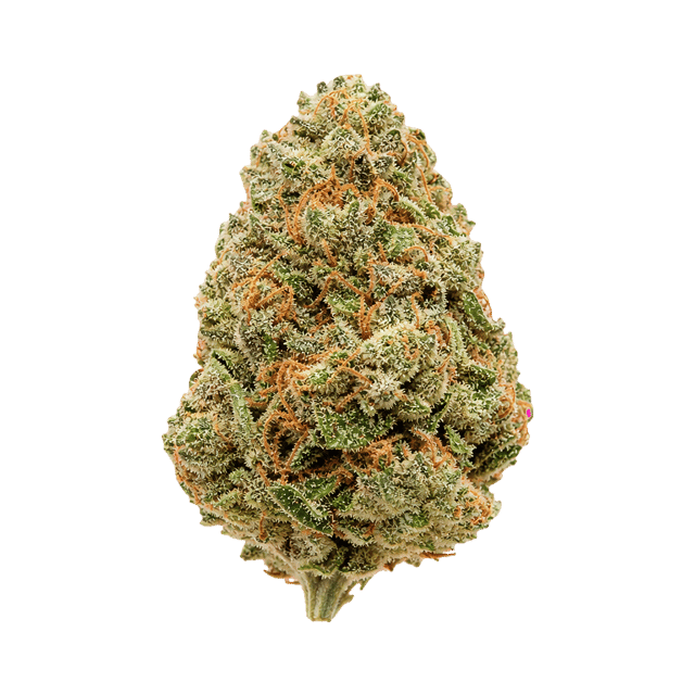 NICE 33/1 OZK Ozark Online Kaufen