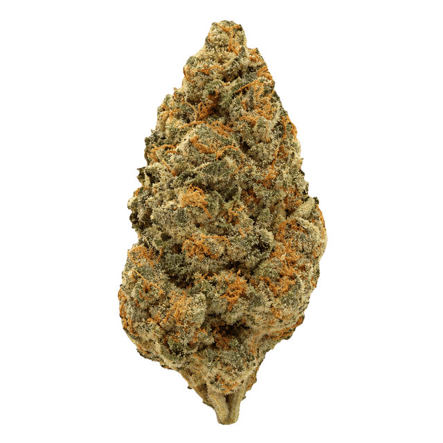 NICE 28/1 GSC Girl Scout Cookies Online Kaufen