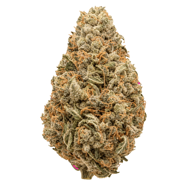 ONO Astrono 25/1 Kush Mint Online Kaufen