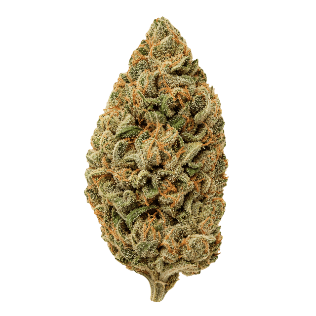 NOC AO 20 ARG Amnesia kush x Sherbet Shocker vs Orange Cookie Kush x Free World Chem Online Kaufen