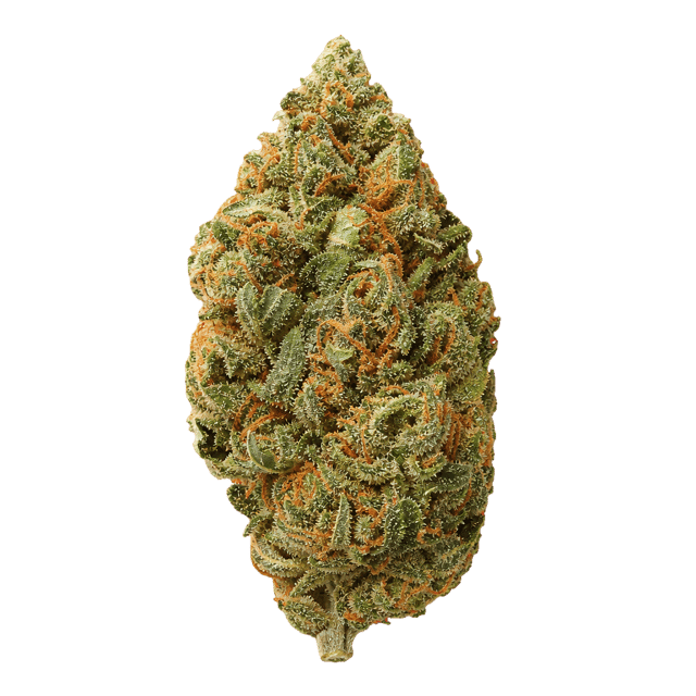 Remexian 30/1 RPK TSU Tropical Sun Online Kaufen