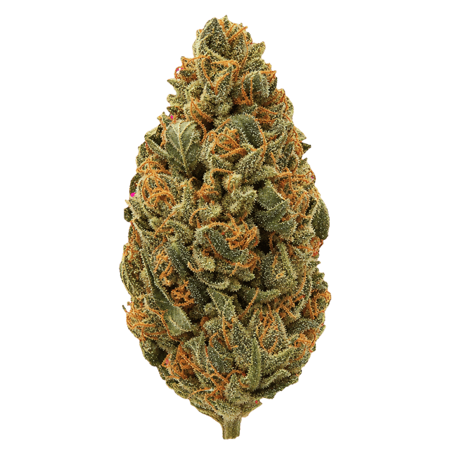 slouu 22/1 AGM CA SBH Strawberry Haze Online Kaufen