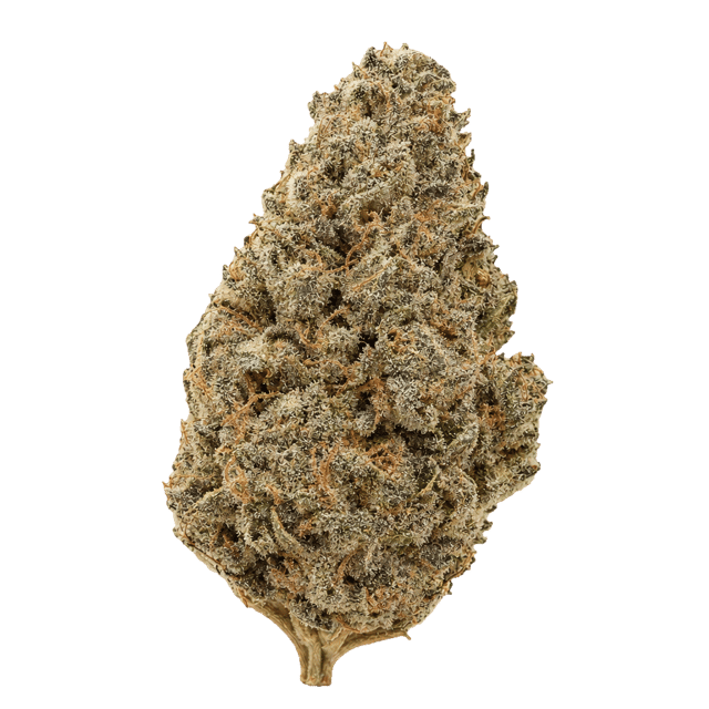 TRUU GT 23:01 Crumbled Lime Online Kaufen