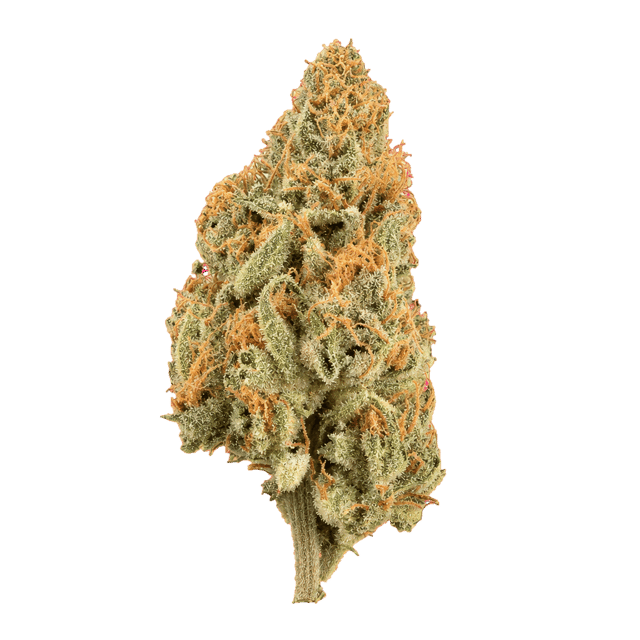 ZOIKS 22/1 LK OG Lime Kush Online Kaufen
