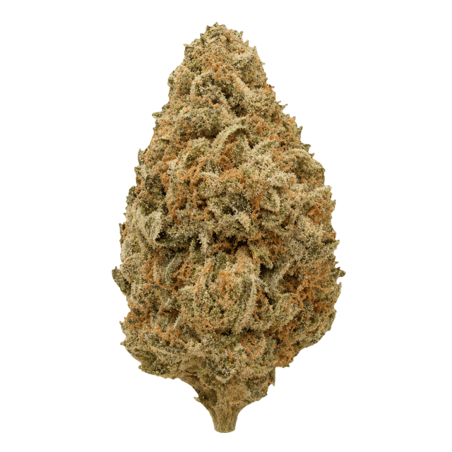 Wellford Luma 24/1 ZA SOC Sour OG Cheese Online Kaufen