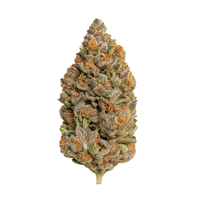 Ekolicious 27/1 GPG Grape Goat Online Kaufen