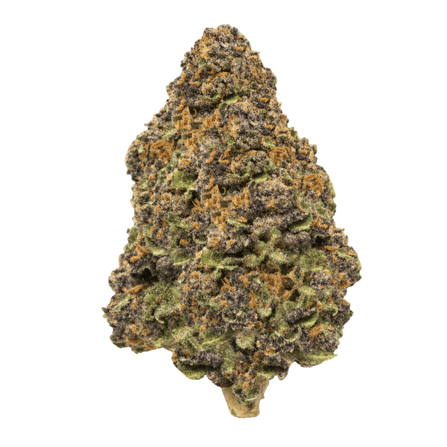 Cannamedical Hybrid Forte BC Lemon Cookies Online Kaufen