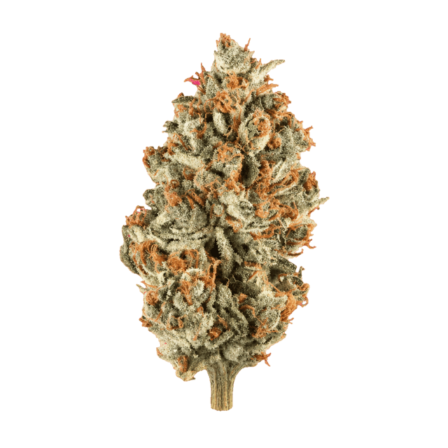 enua 30/1 TPM CA Tropical Meltdown Online Kaufen