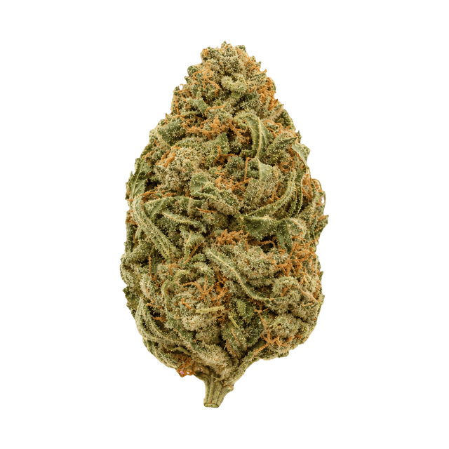 Beacon PK T24 Pink Kush Online Kaufen