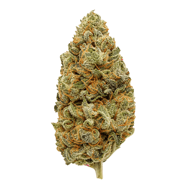 enua 27/1 COZ CA Cookies OZ Online Kaufen