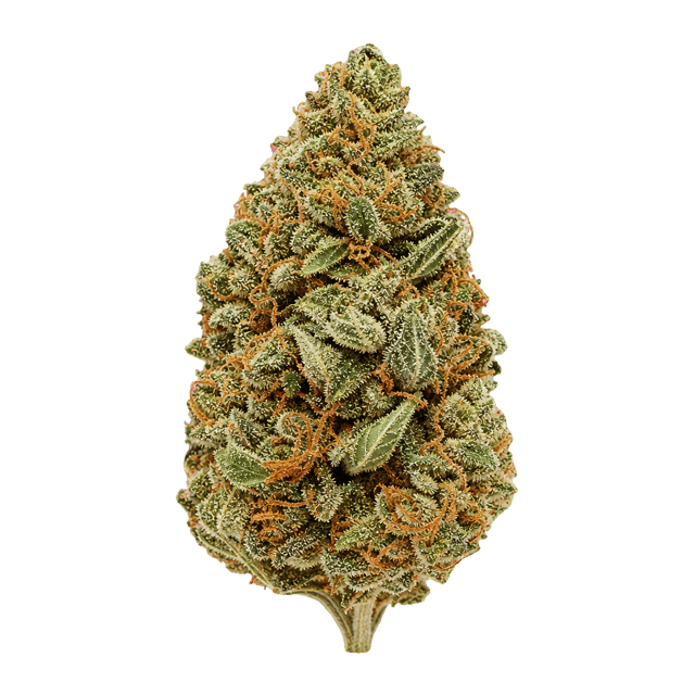 CherryCo THC 25 Sativa Arctic Gorilla Online Kaufen