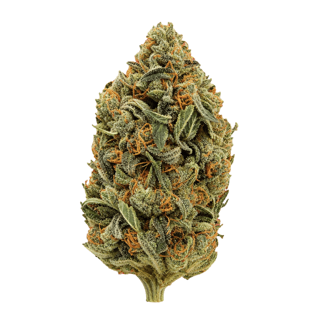 NICE 29/1 KM Kush Mints Online Kaufen