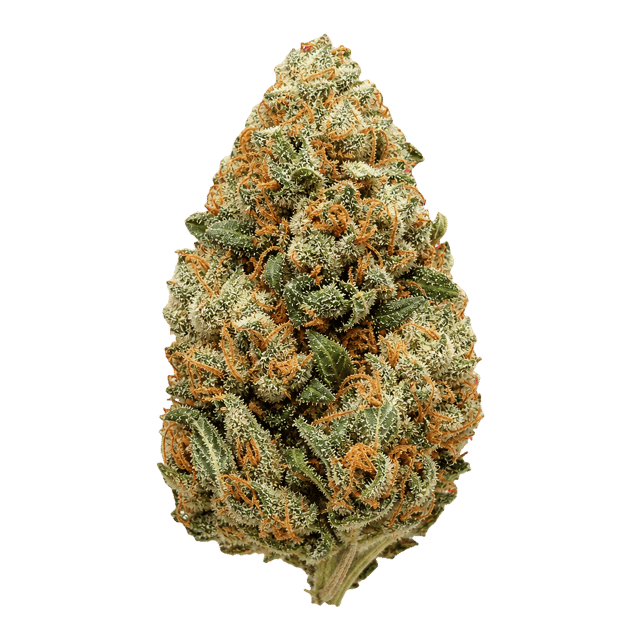 Luana 20/1 OG Watermelon OG Online Kaufen