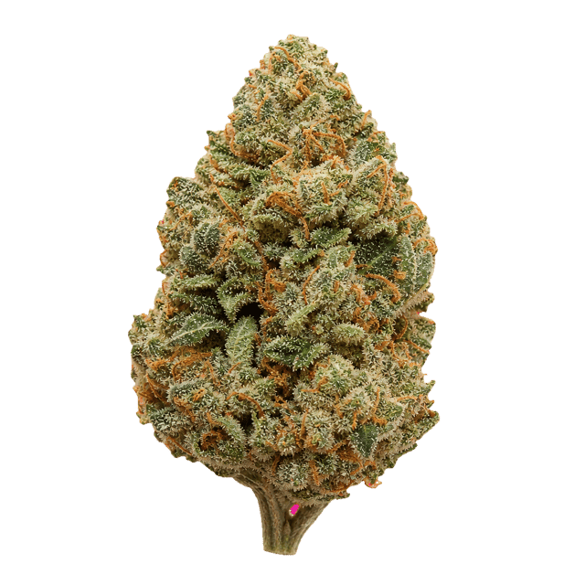 All Nations DK 27/1 Diamond Kush Online Kaufen