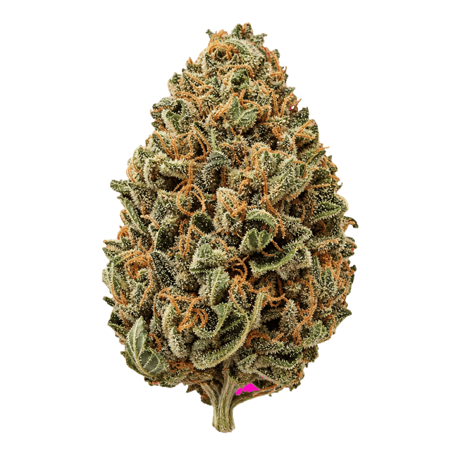 Organic Sweetgrass CB 30/1 Crunch Berries Online Kaufen