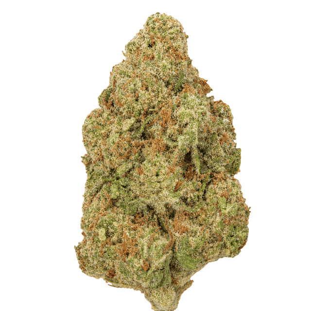 Sumo PAB 25/1 Papaya Bomb Online Kaufen
