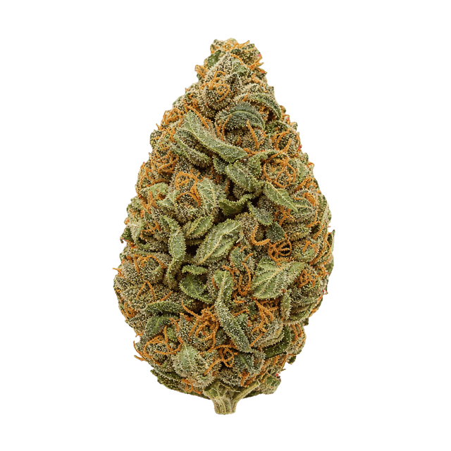 Remexian 35/1 MTL WCK Wes Coast Kush Online Kaufen