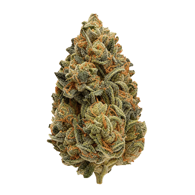 Bud-Jet 21/1 SUS Sunset Sherbet Online Kaufen