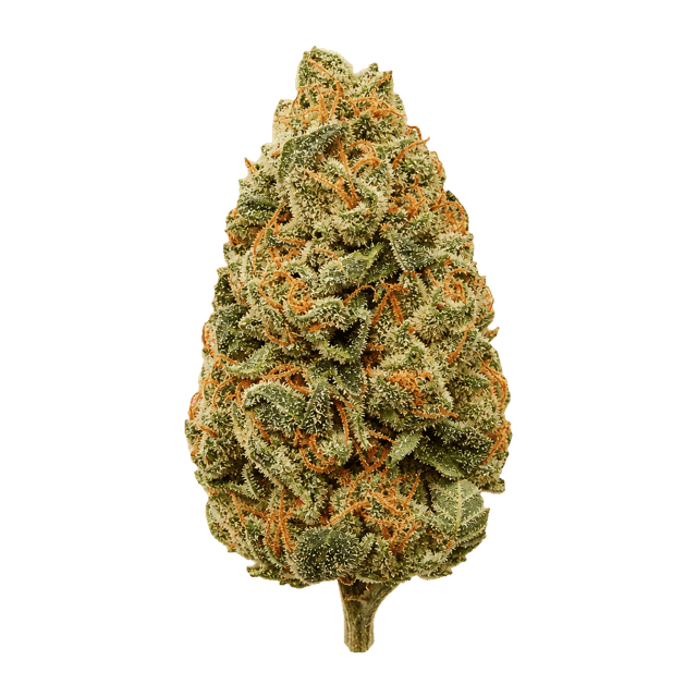 TRUU GT 22:01 Tangerine Dream Online Kaufen
