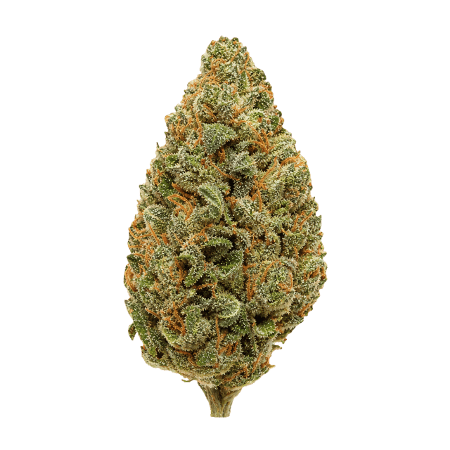 Beacon SCP T30 Sweet Cherry Pie Online Kaufen