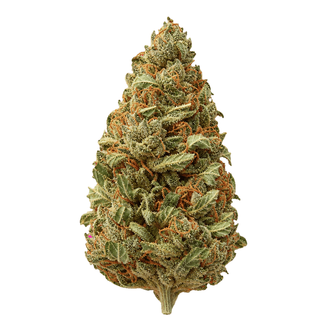 Cannabis flos 16/1 LS Ku. Galaxy Glaze Online Kaufen