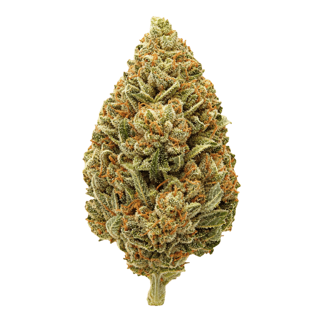 TREATZ LC 30/1 Lemon Cheesecake Online Kaufen
