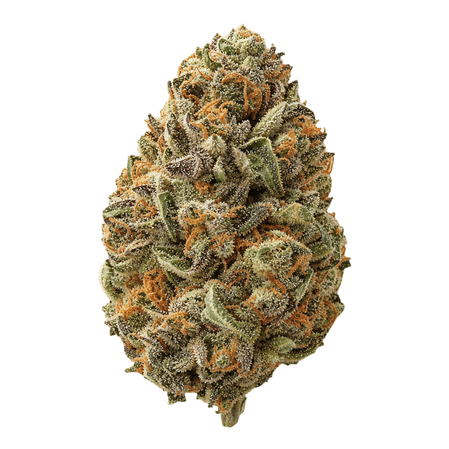 Cannabec Culture 27/1 FTP Fruity Pebbles Online Kaufen
