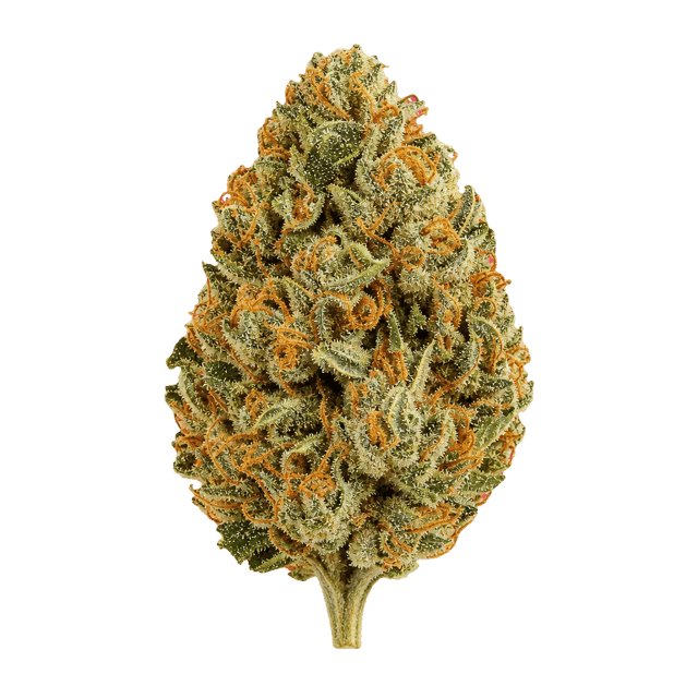 enua 27/1 CYM CA Cherry Mint Online Kaufen