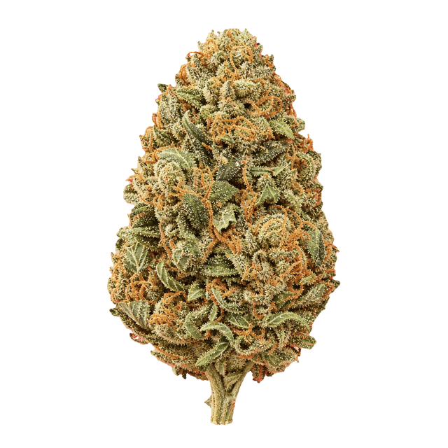 Demecan CV Regular Drop BD Banana Daddy Online Kaufen