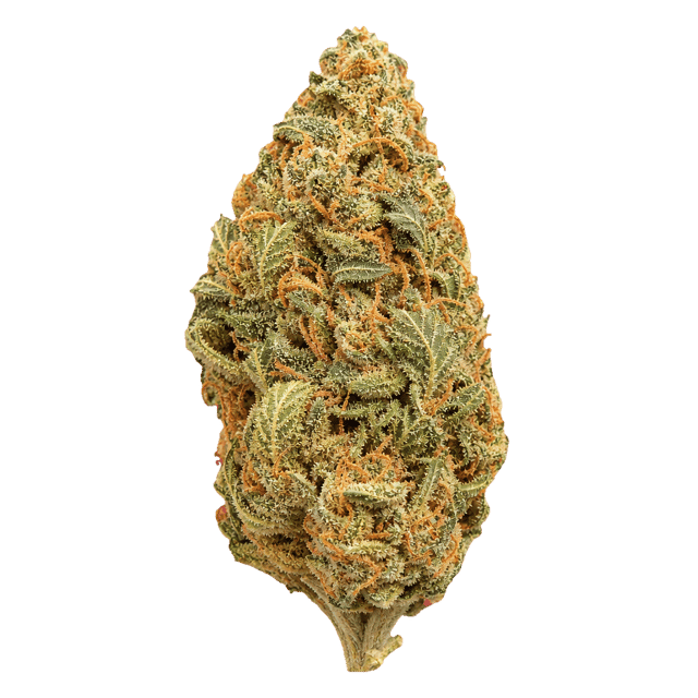 Weeco Vasco 18/1 Skunk Widow Online Kaufen