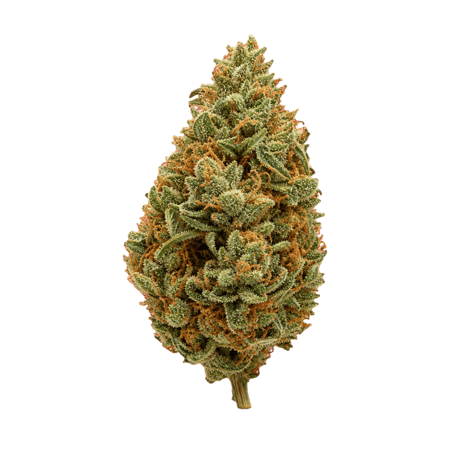 Budza 24/1 WRZ White Runtz Online Kaufen