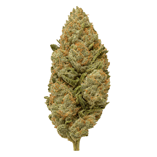 Weeco Peridot 25/1 Slightly Stoopid Fruits Online Kaufen