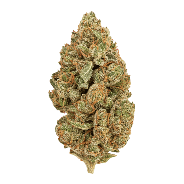 Daily Special 25/1 PWR Papaya Power Online Kaufen