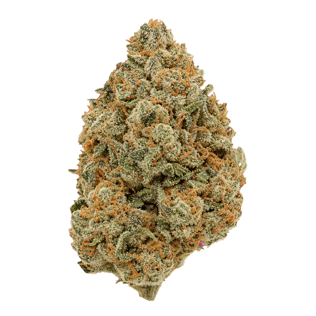 Tetra THC27 Lemonade Haze Online Kaufen