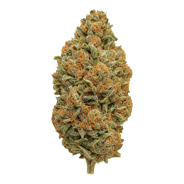 Cannamedical Sativa Ultimate NM Blue Lavender Online Kaufen