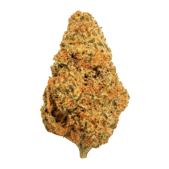 ZOIKS 26/1 GCK GG4 x Critical Kush Online Kaufen