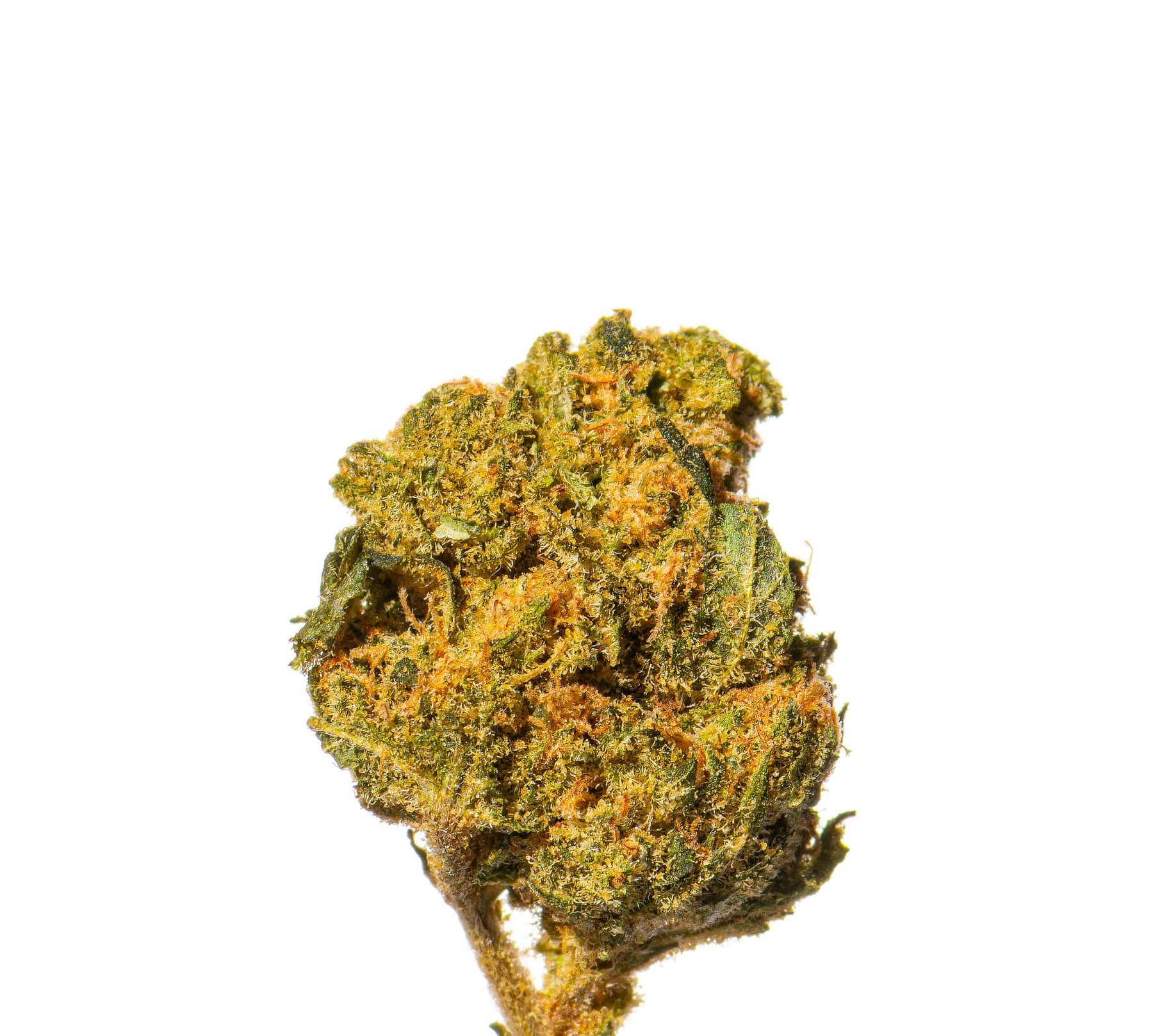 product-image-0