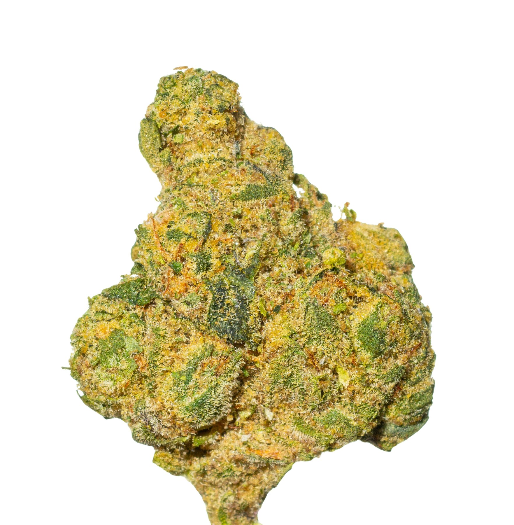 THC AKUT 25 RBP Rainbow Pie Online Kaufen