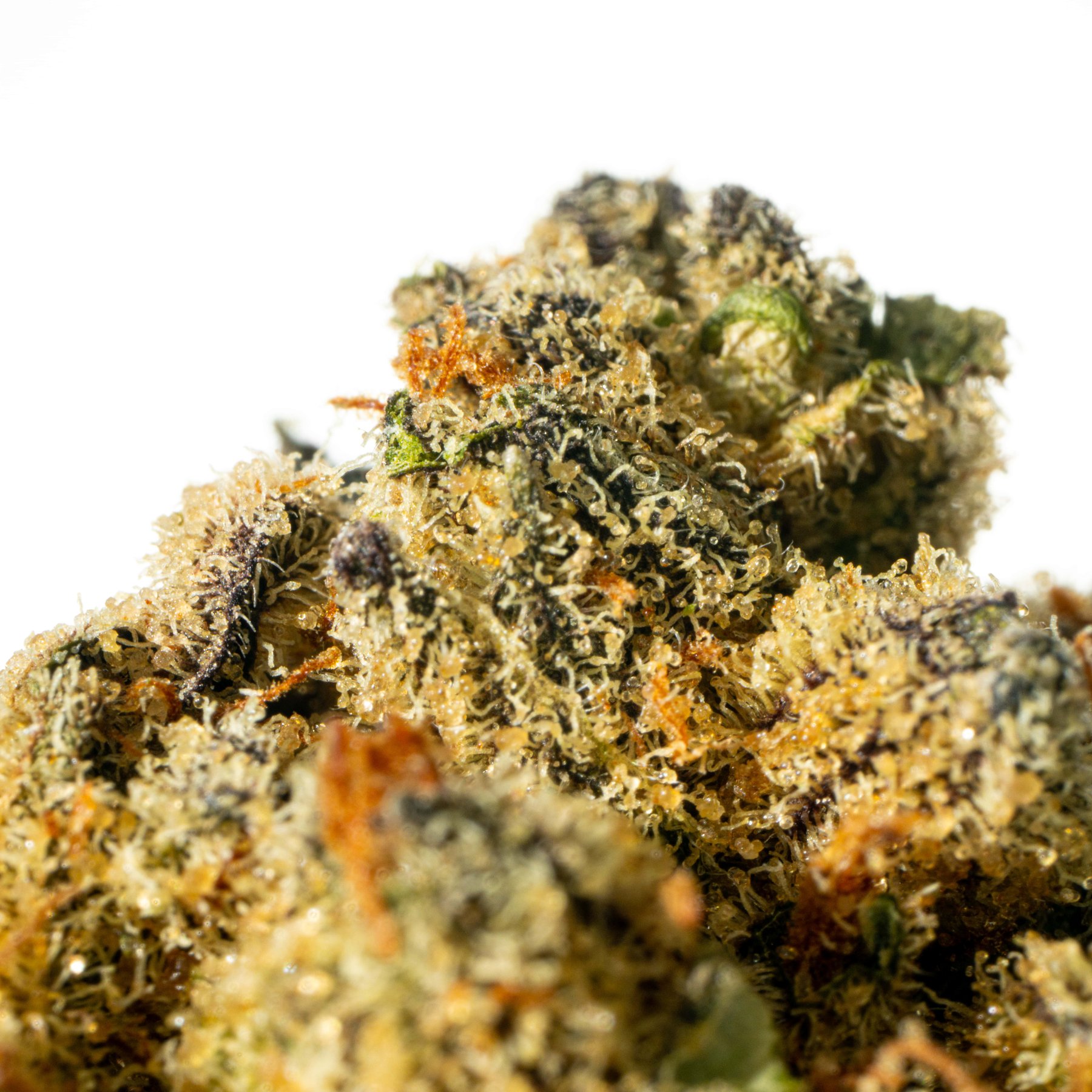 Sibanax GMO Zkittlez 20/1 Online Kaufen