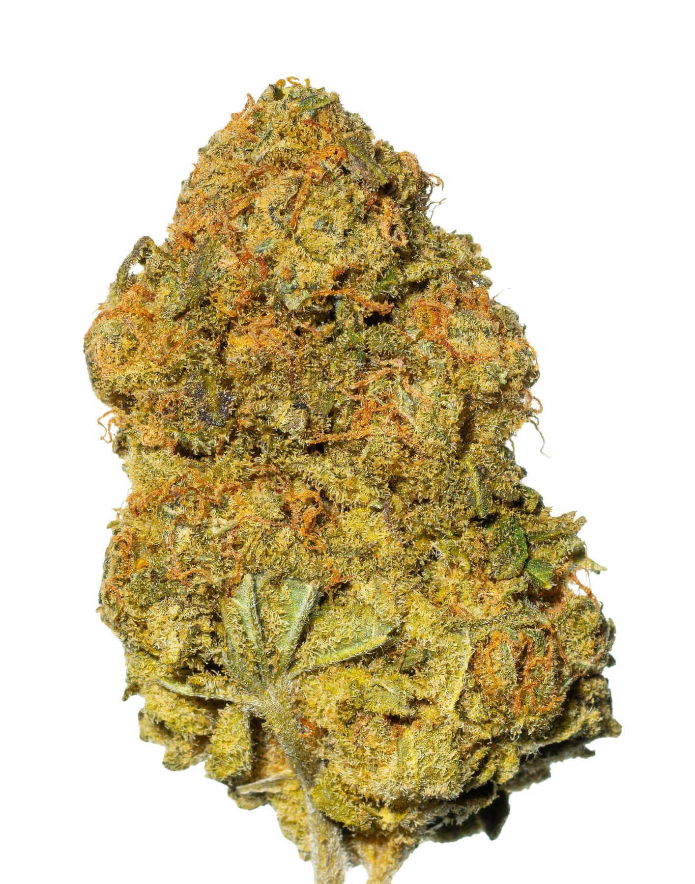 aleph amber 26/1 Mango Kush Online Kaufen