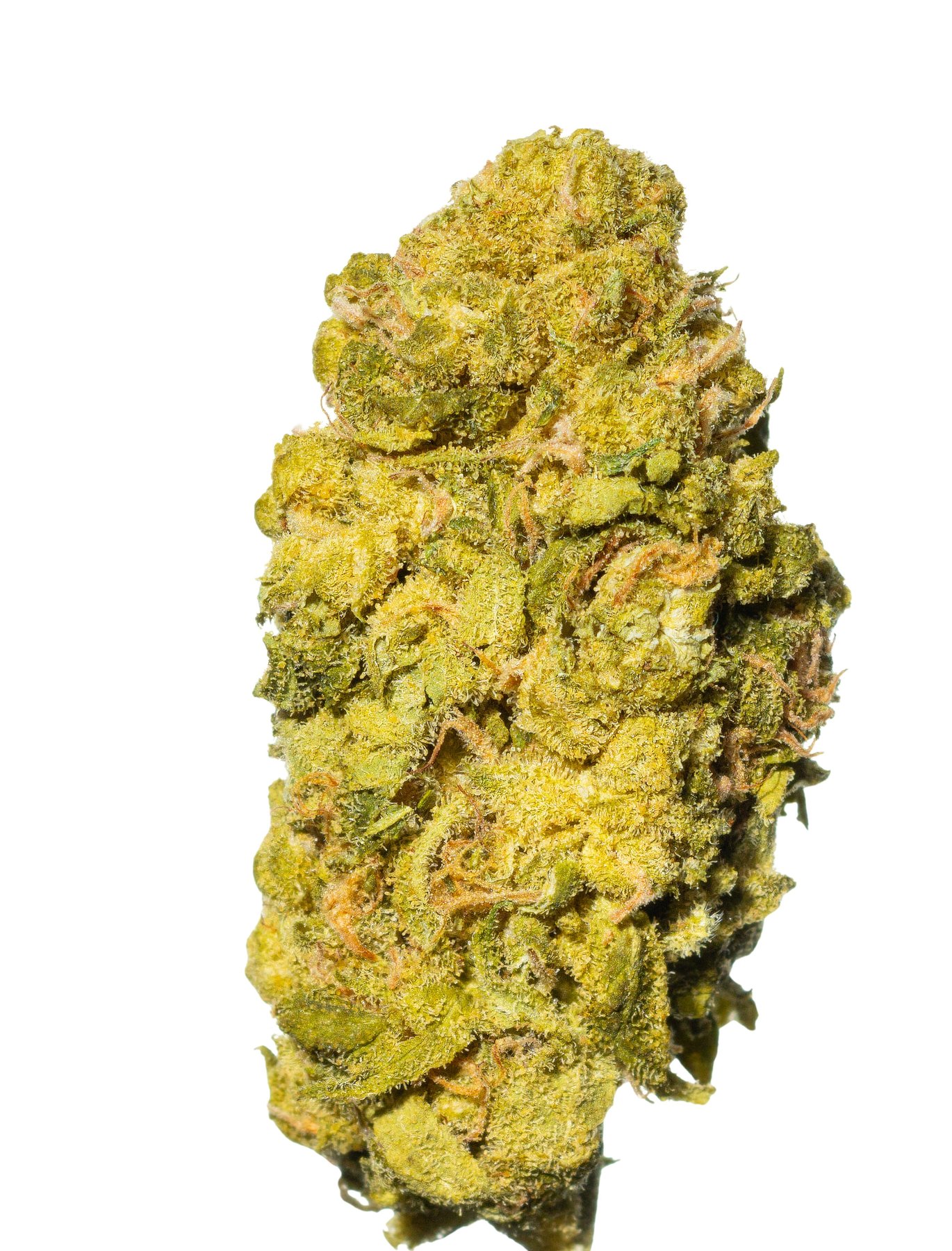 Cannamedical CM 28/1 Sour Pie Online Kaufen