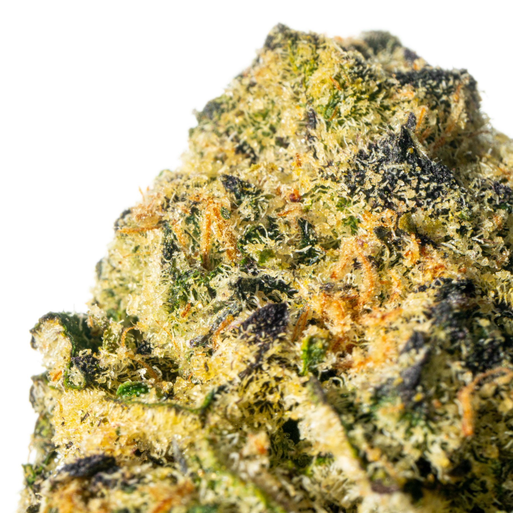 Cannamedical Sativa forte NM Wedding Tree Online Kaufen