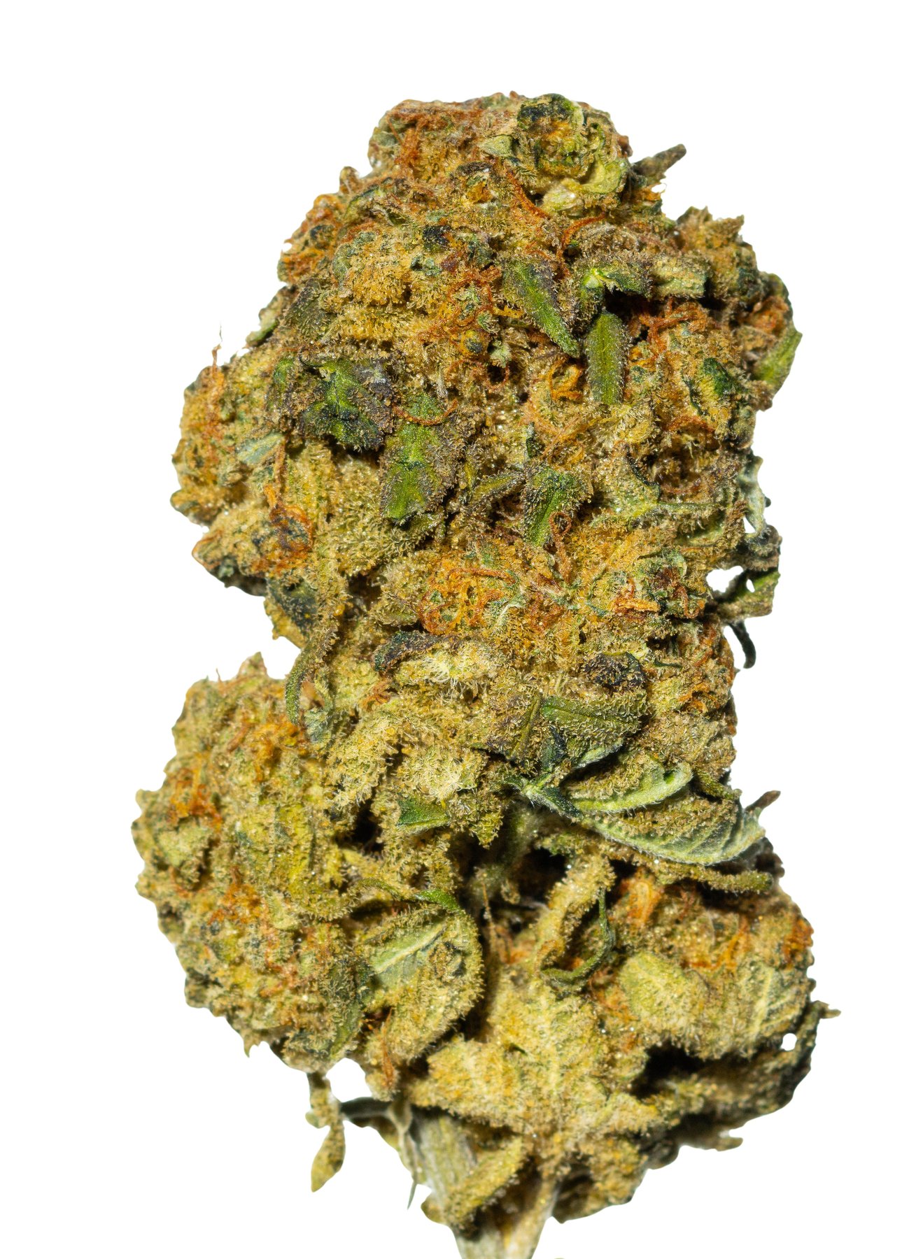 Sibanax SHB 28/1 Shishkaberry Online Kaufen