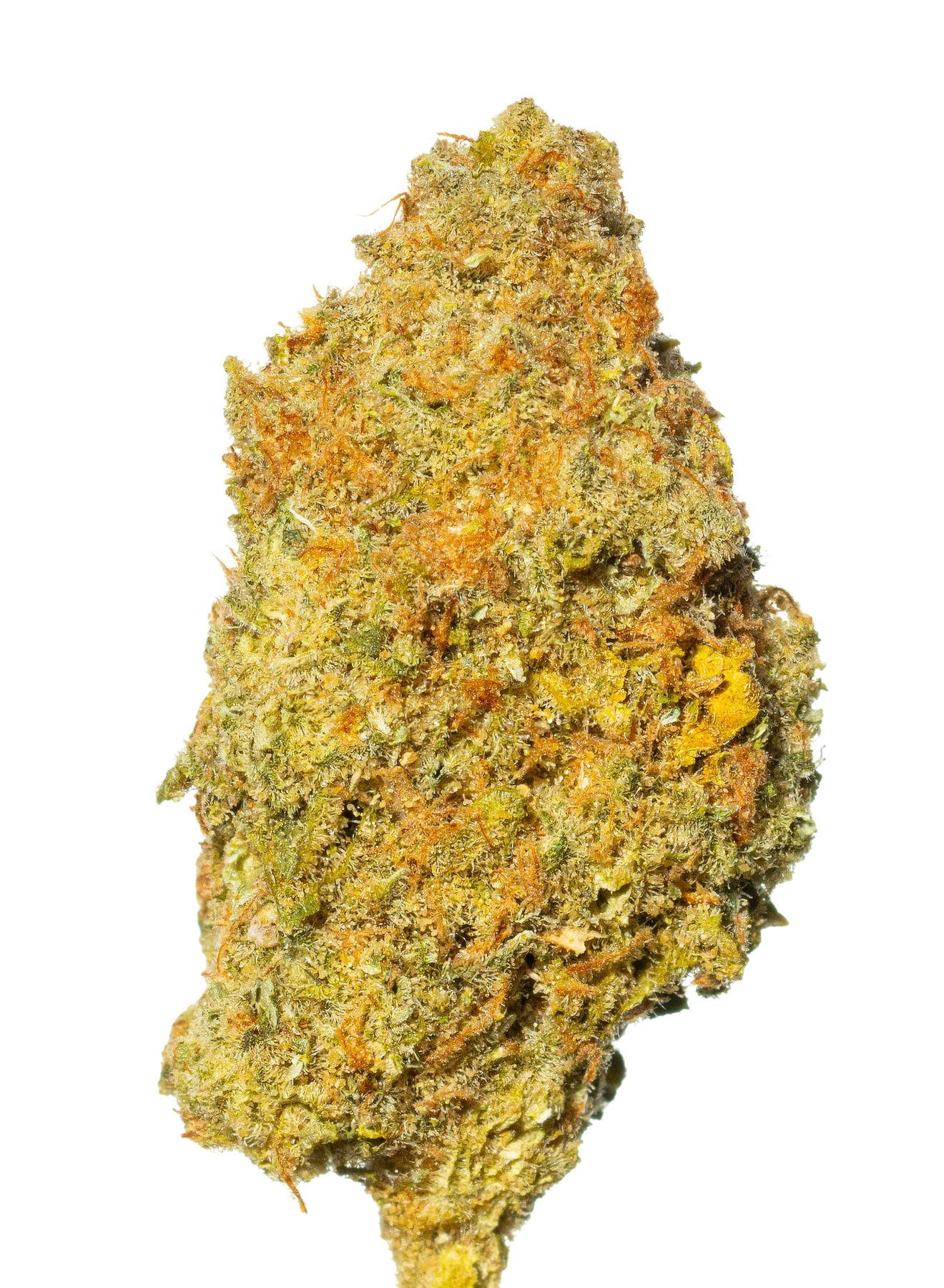 Aleph green 24/1 Doce da Casa Online Kaufen
