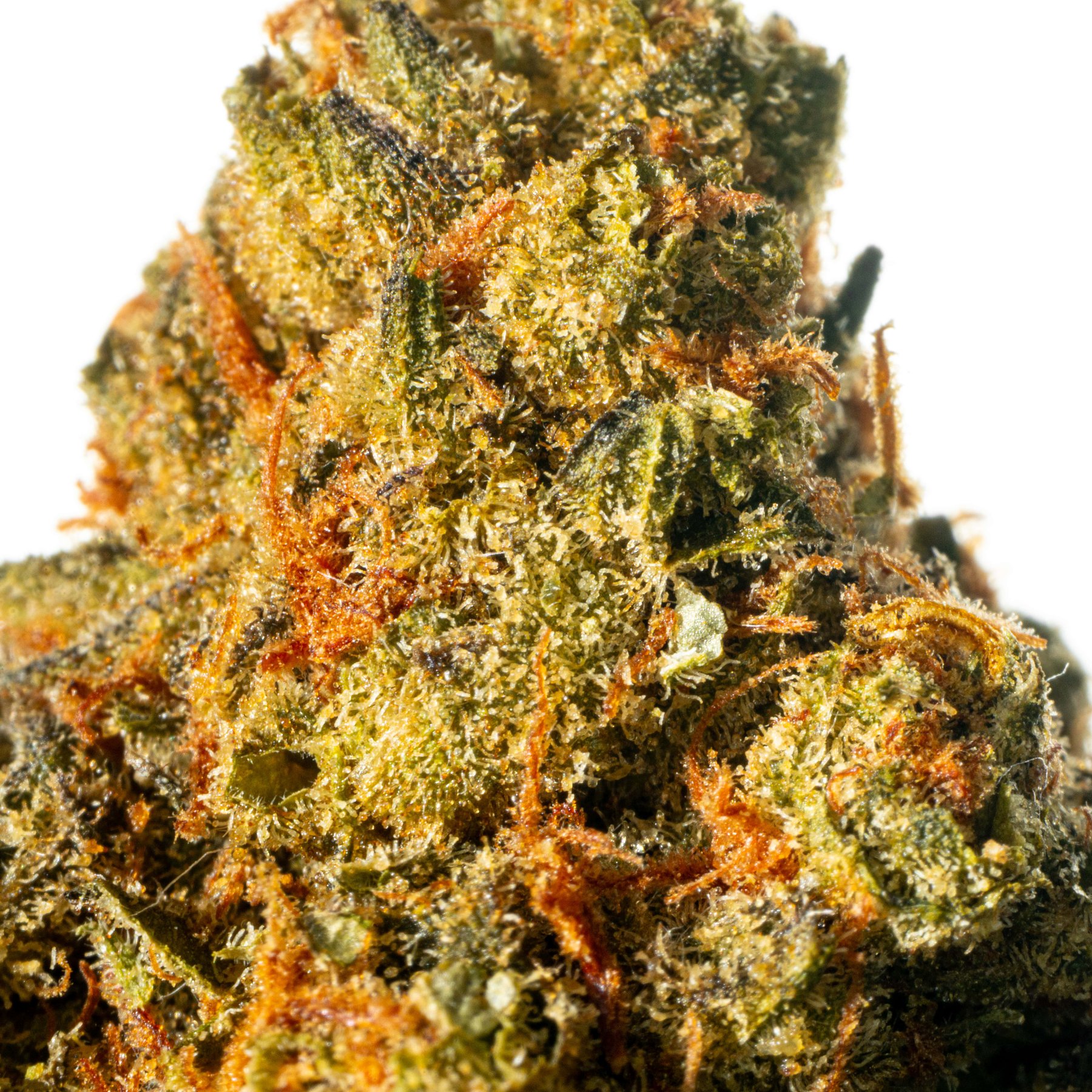 Huala 25/1 UK CIN Cinderella Kush Online Kaufen